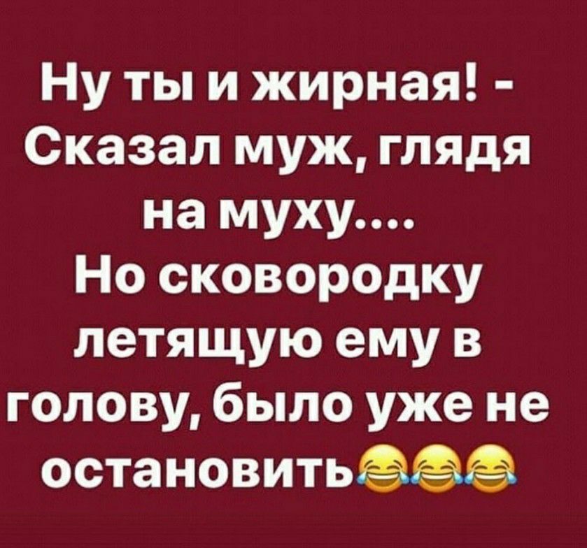 Ну ты и жирная Сказал муж глядя на муху Но сковородку летящую ему в голову было уже не остановитьёёё