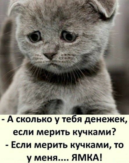 А сколько у те оя денежек если мерить кучками Если мерить кучками то у меня ЯМКА