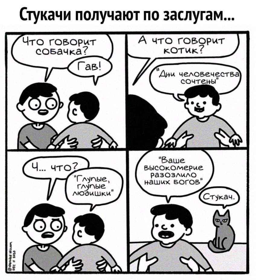 Стуквчи получают по заслугам... Высокомерие. Разозлило  наших богов'