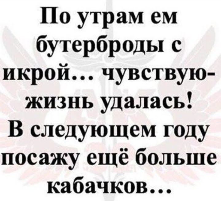 По утрам ем бутерброды с икрой чувствую жизнь удалась В следующем году посажу ещё больше кабачков