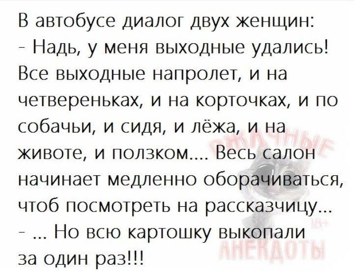 В автобусе диалог двух женщин Надь у меня выходные удались Все выходные напролет и на четвереньках и на корточках и по собачьи и сидя и лёжа и на животе и ползком Весь салон начинает медленно оборайиваться чтоб посмотреть на рассказчицу Но всю картошку выкопали за один раз