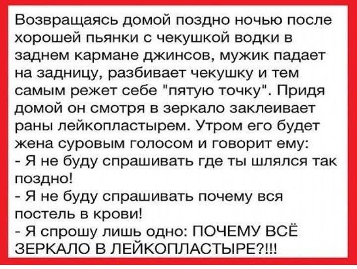 Возвращаясь домой поздно ночью после хорошей пьянки с чекушкой водки в заднем кармане джинсов мужик падает на задницу разбивает чекушку и тем самым режет себе пятую точку Придя домой он смотря в зеркало заклеивает раны пейкопластырем Утром его будет кена суровым голосом и говорит ему Я не буду спрашивать где ты шлялся так поздно Я не буду спрашивать почему вся постель в крови Я спрошу лишь одно ПО