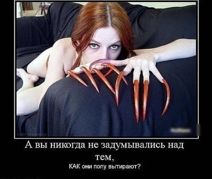 А ВЫ никогда не задумывались над ТСМ КАК они попу вытирают