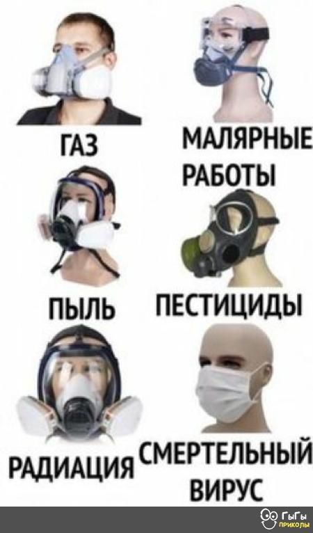 Мг МАЛЯРНЫЕ ёё РАБОТЫ пыль ПЕСТИЦИды Ё СМЕРТЕЛЬНЫЙ Р ИА ИЯ Ад Ц ВИРУСОО ГыГн _ а