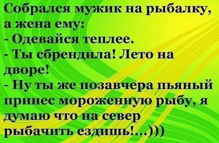_ днища типівтишин тётидж шипитв ит