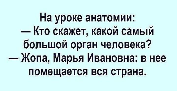 На уроке анатомии Кто скажет какой самый большой орган человека Жопа Марья Ивановна в нее помещается вся страна