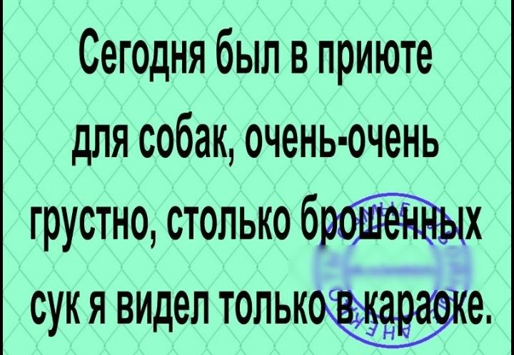 Сегодня был в приюте для собак очень очень грустно столько брощённых сукя видел только караоке