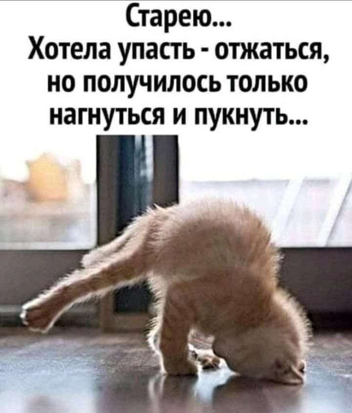 Старею Хотела упасть отжаться но получилось только иагнуться и пукнуть
