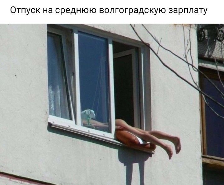 Отпуск на среднюю вопгоградскую зарплату