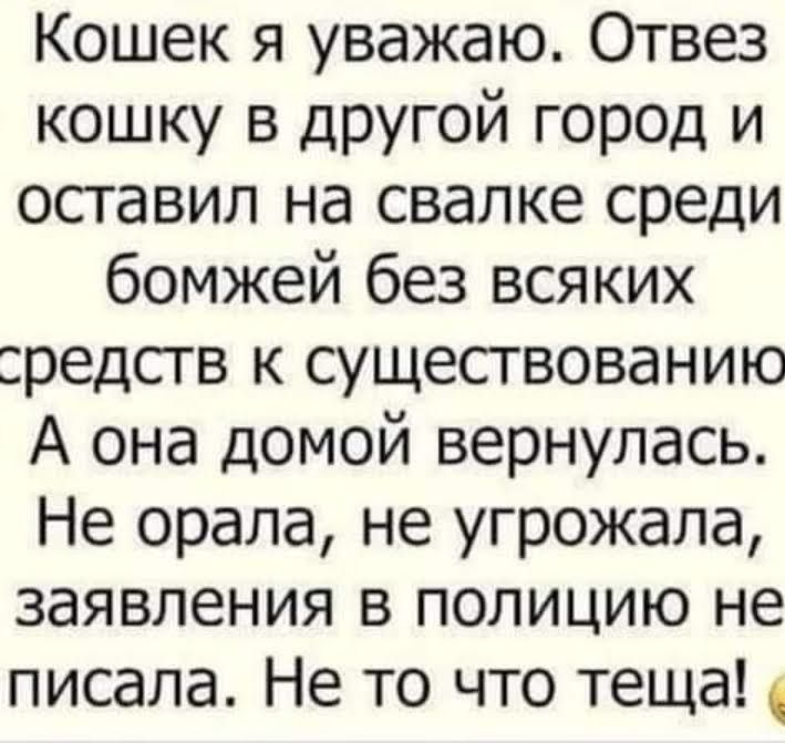 Кошек я уважаю Отвез кошку в другой город и оставил на свалке среди бомжей без всяких редсгв к существованию А она домой вернулась Не орала не угрожала заявления в полицию не писала Не то что теща