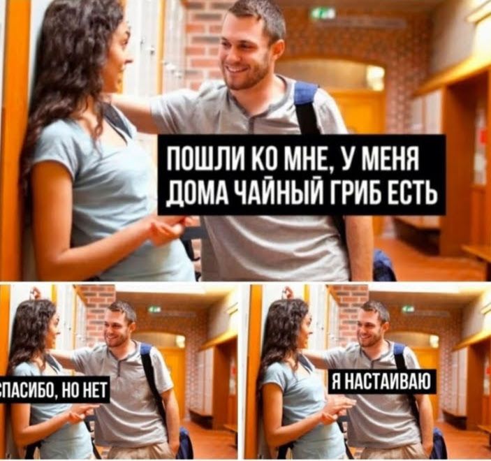 г 1 ПОШЛИ КП МНЕ У МЕНЯ до ЧАЙНЫЙ ГРИБ ЕСТЬ пишдивдю