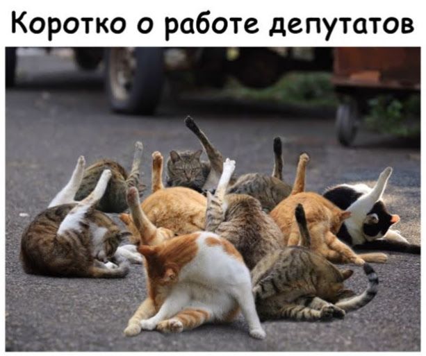 Коротко о работе депутатов