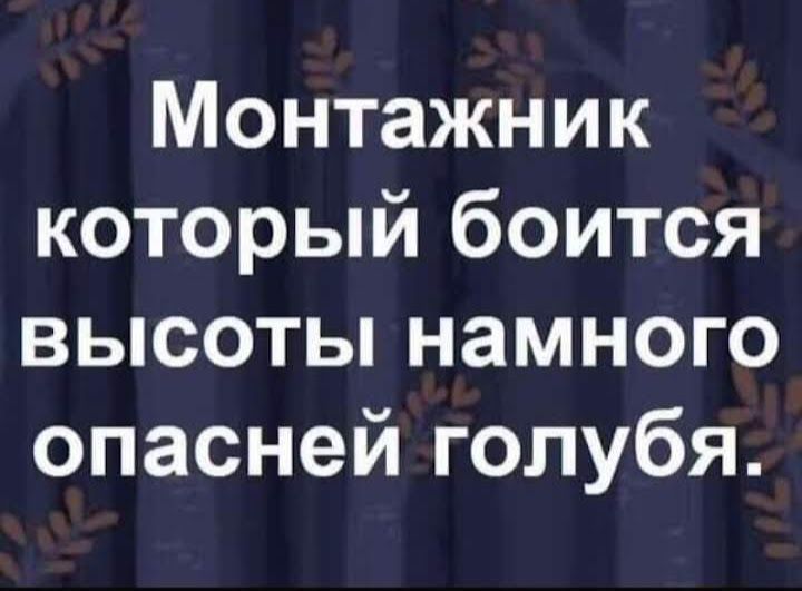 Монтажник который боится высоты намного опасней голубя