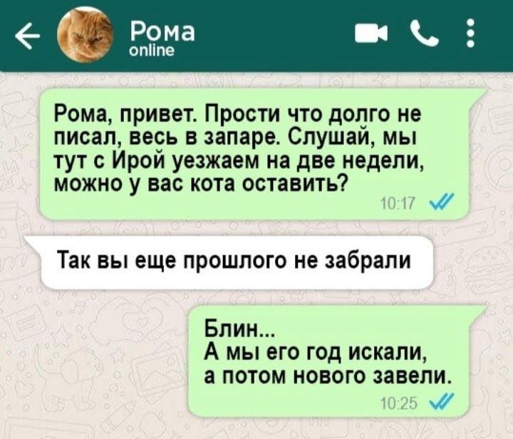 Рома опііпе Рома привет Прости что довго не писал весь в аапаре Спушаи мы тут Ирой уезжаем на две недели можна у вас кота оставить Так вы еще прошлого ив абряпи Блин А мы его год искали а потом нового завели