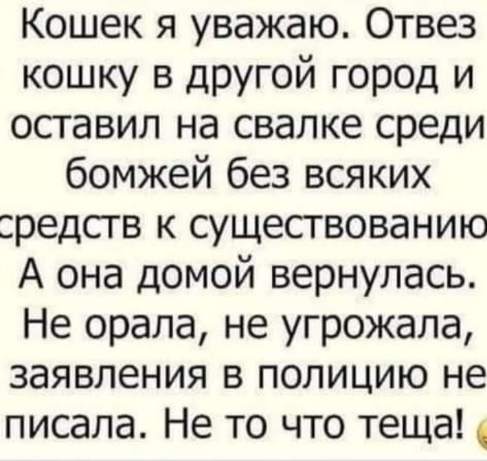 Кошек я уважаю Отвез кошку в другой город и оставил на свалке среди бомжей без всяких редсгв к существованию А она домой вернулась Не орала не угрожала заявления в полицию не писала Не то что тещаЦ