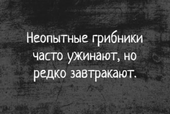 Неопытные грибники часто ужинают но редко завтракают