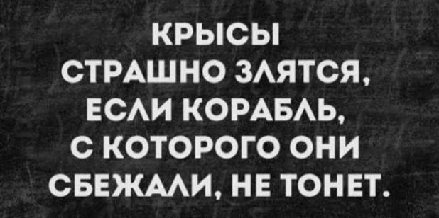 КРЫСЫ СТРАШНО ЗАЯТСЯ ЕСАИ КОРАБАЬ С КОТОРОГО ОНИ СБЕЖААИ НЕ ТОНЕТ