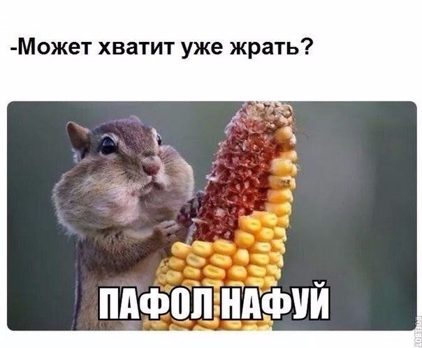Может хватит уже жрать пифопъншішй