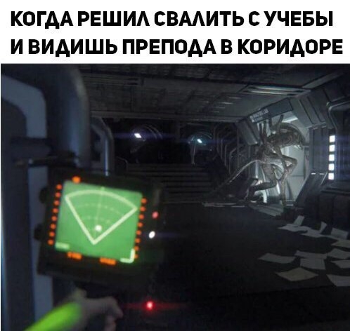 КОГАА РЕШИА СВААИТЬ С УЧЕБЫ И ВИАИШЬ ПРЕПОАА В КОРИАОРЕ АР щ д