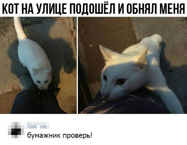 КПТ НА УЛИЦЕ ПОДОШЁЛ И ПБНЯЛ МЕНЯ бумажник проверь
