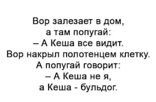 Вор залезает в дом а там попугай А Кеша все видит Вор накрыл полотенцем клетку А попугай говорит А Кеша не я а Кеша бульдог