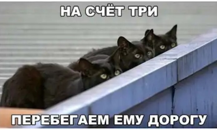 АЕМ ему д9воу