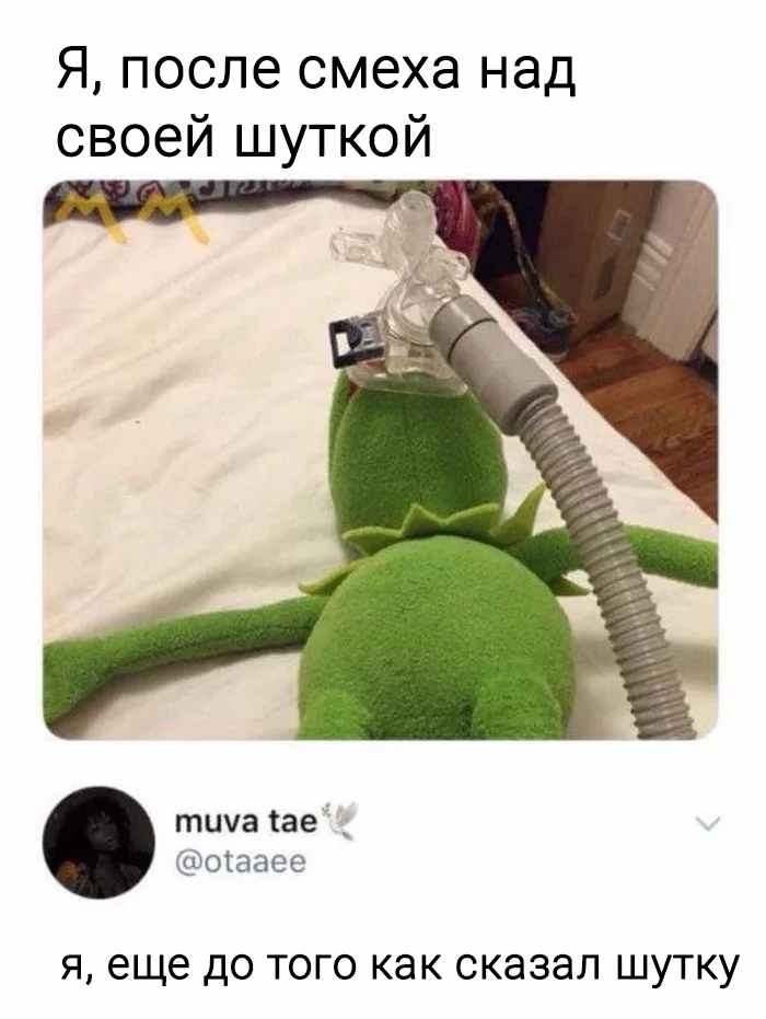 Я после смеха над своей шуткой тыча тае отааее Я еще ДО ТОГО как сказал ШУТКУ