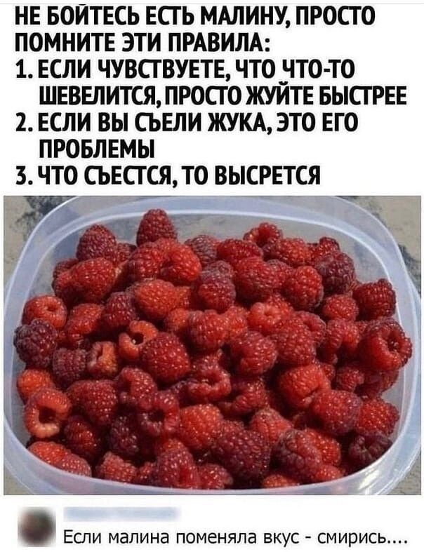 НЕ БОИТЕСЬ ЕСТЬ МАЛИНУ ПРОСТО ПОМНИТЕ ЭТИ ПРАВИЛА 1 ЕСЛИ ЧУВСТВУЕТЕ ЧТО ЧТО ТО ШЕВЕЛИТСЯ ПРОСТО ЖУИТЕ БЫСТРЕЕ 2 ЕСЛИ ВЫ СЬЕЛИ ЖУЦЭТО ЕТО ПРОБЛЕМЫ 3 ЧТО СЪЕСТСЯ ТО ВЫСРЕТСЯ