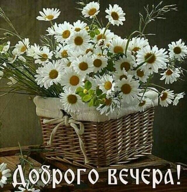 ЫЁЗЬЬГЪ Ёечера