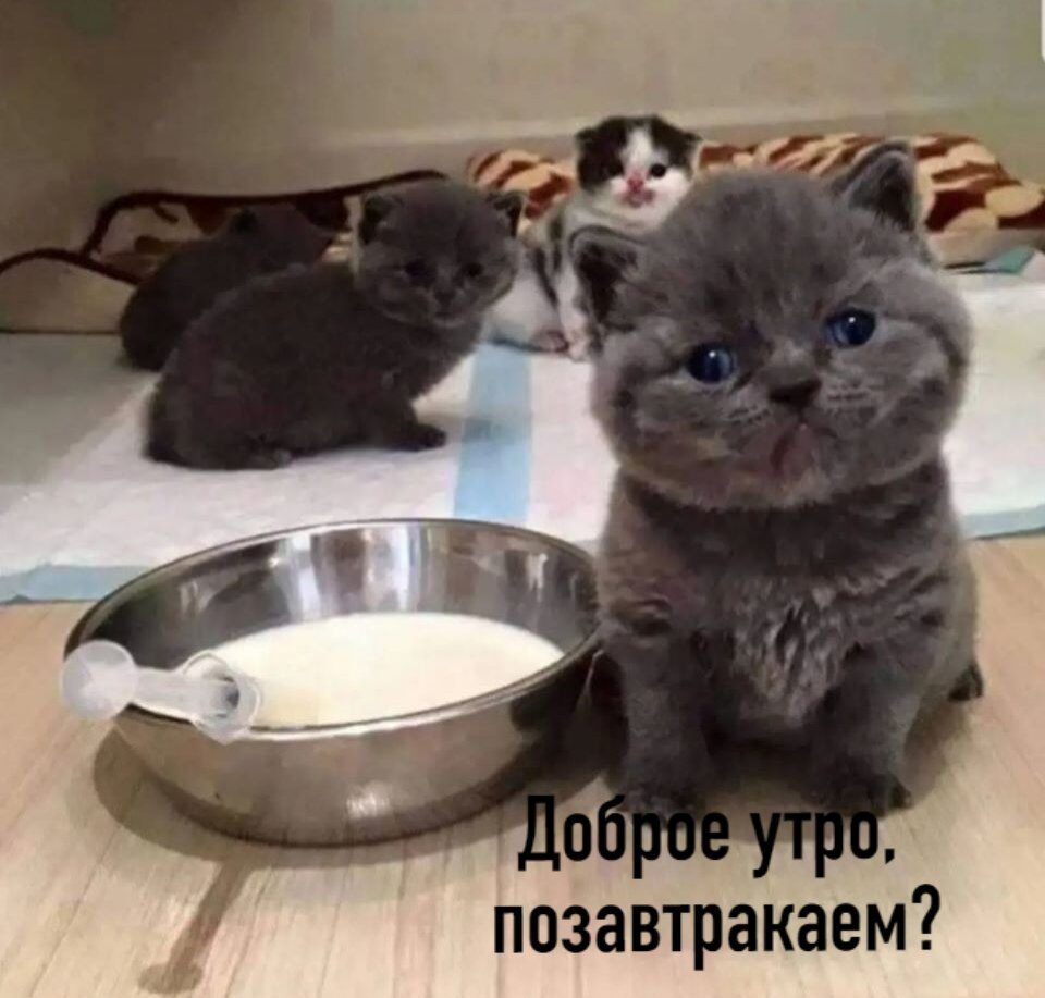 позавтракаем