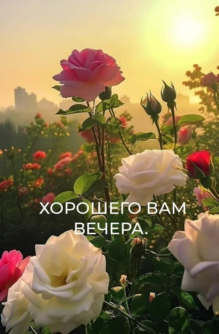 хороздыо ВАМ ЕЧЕВА 5