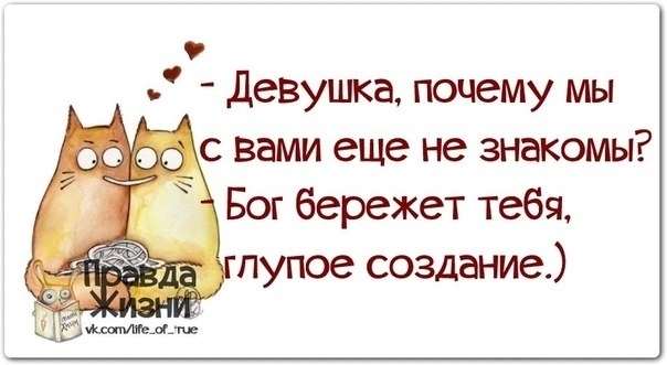 девушка почему мы с вами еще не знакомы Бог бережет тебя пупое создание