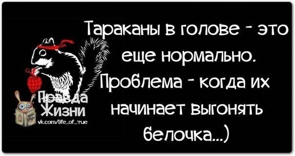 Тараканы в голове это 1 г Ён еще нормально Пробпема когда их а изни начинает выгонять МашиМедь белочка