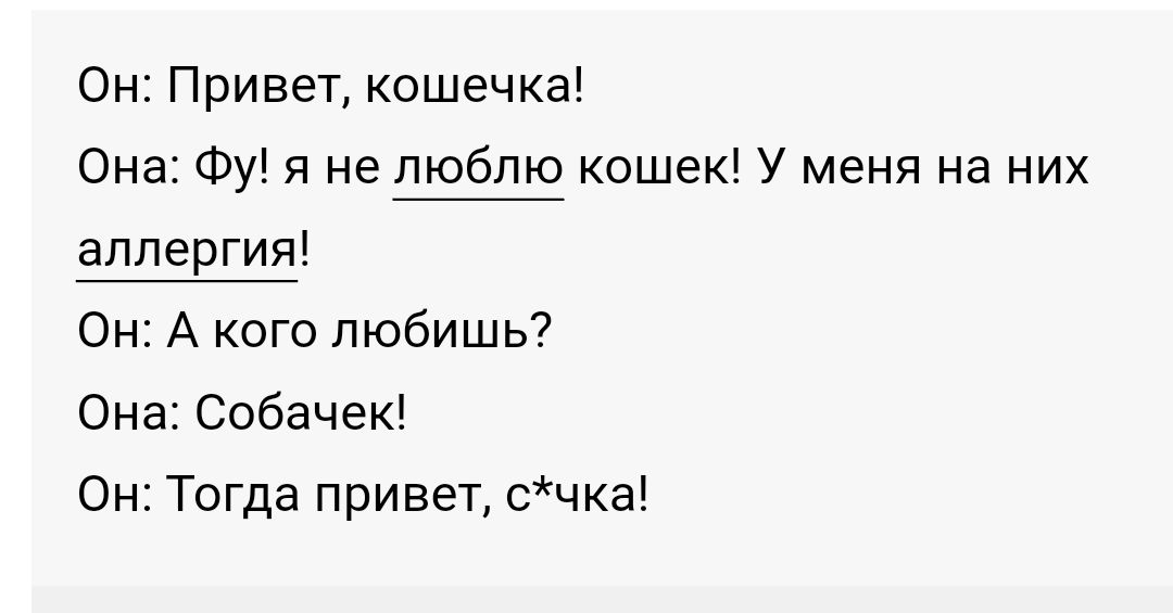 Он Привет кошечка Она Фу я не люблю кошек У меня на них аллергия Он А кого любишь Она Собачек Он Тогда привет счка