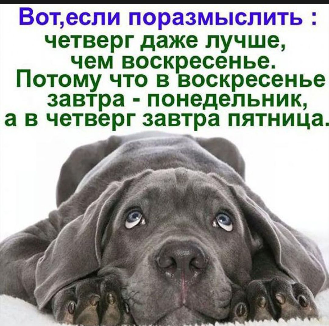 Вотесли поразмыслить четверг даже лучше чем воскресенье ПОТОМУ ЧТО В воскресенье завтра понедельник а В четверг завтра ПЯТНИЦЭ