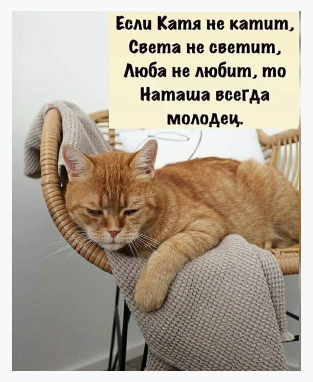 Ешш Катя но кишит Света не светит Люба не любит то Наташа всегда молодец