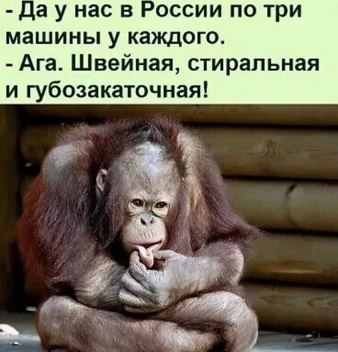 Да у нас в России по три машины у каждого Ага Швейная стиральная и губозакаточная