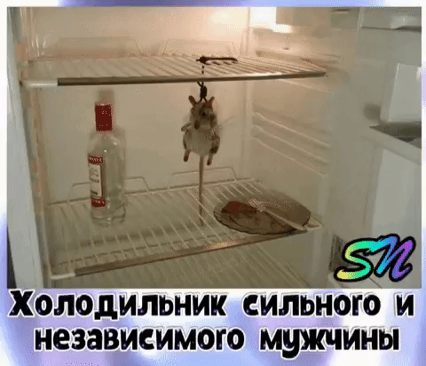 ХОЛОДИЛЬНИК СИЛЬНО И независимого мужчины