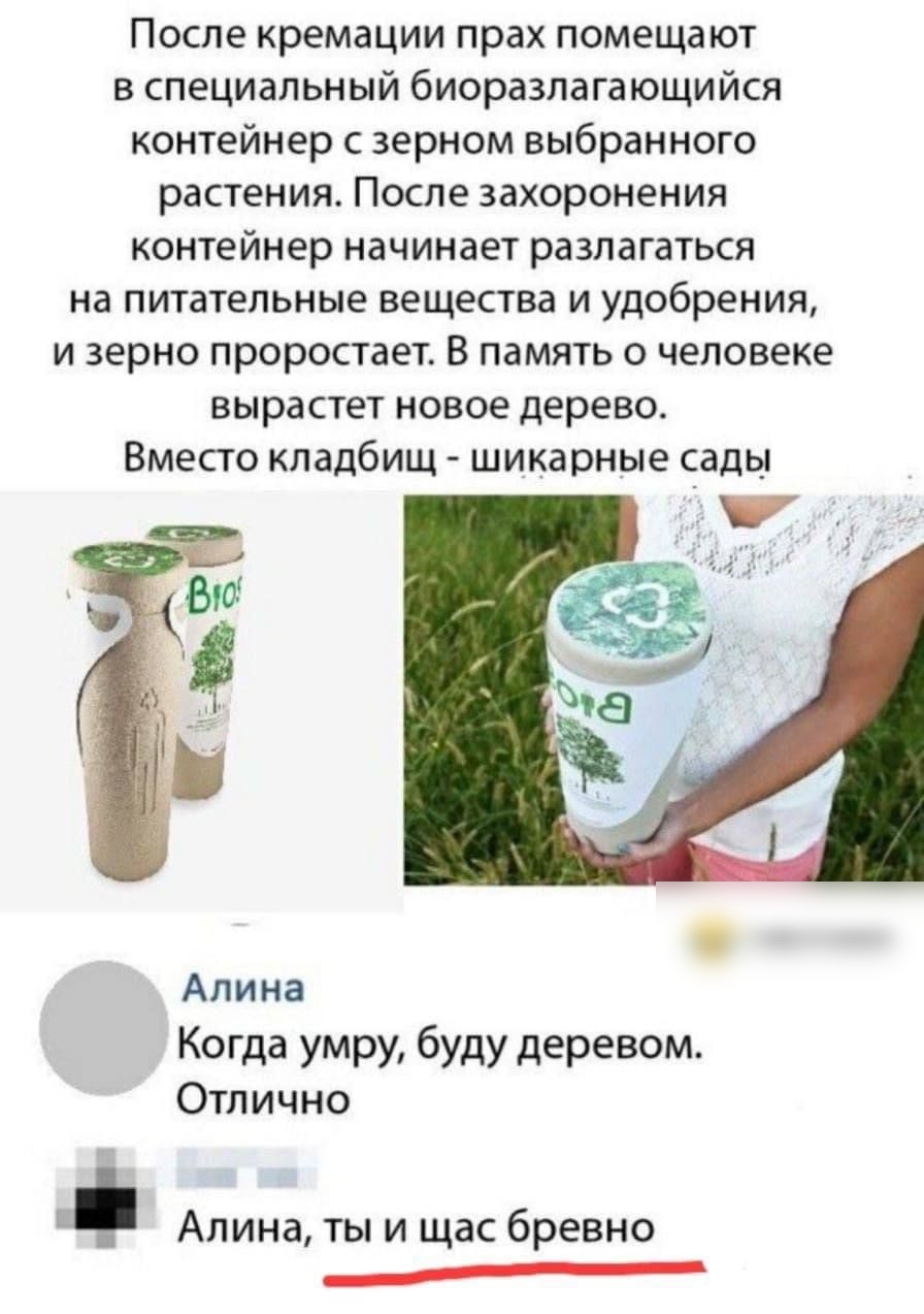 После кремации прах помещают в специальный биоразлагающийся контейнер с зерном выбранного растения После захоронения контейнер начинает разлагаться на питательные вещества и удобрения и зерно проростает В память о человеке вырастет новое дерево Вместо кладбищ шикарные сады Алина Когда умру буду деревом Отлично Алина ты и щас бревно _
