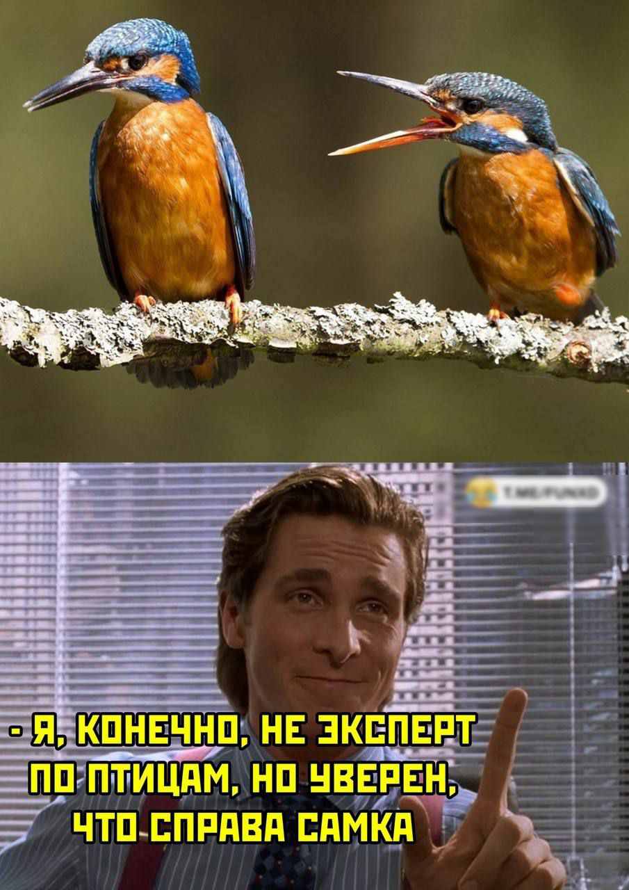 ЕЭПКПНЕЧНП НЕ ЭКСПЕРТ ЕПП ПТИЦНМ НП НВЕЕЕНЁ ЧТП ЕПРПВП ЕПМКП 3 Р