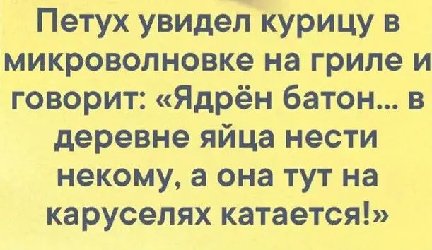 Петух увидел курицу в микроволновке на гриле и говорит Ядрён батон в деревне яйца нести некому а она тут на каруселях катается