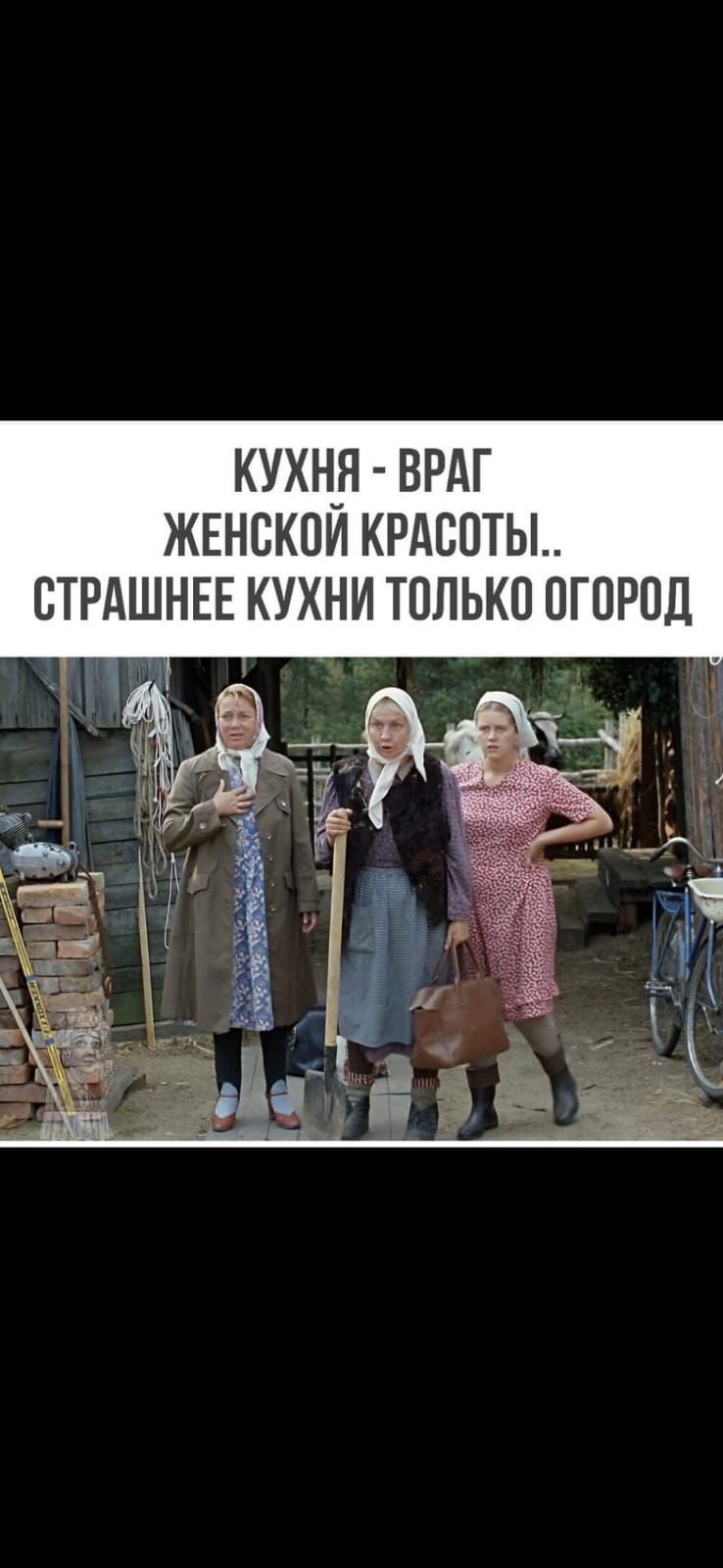 КУХНуН ВРАГ ЖЕНСКОИ КРАСОТЫ ОТРАШНЕЕ КУХНИ ТОЛЬКО ОГОРОД