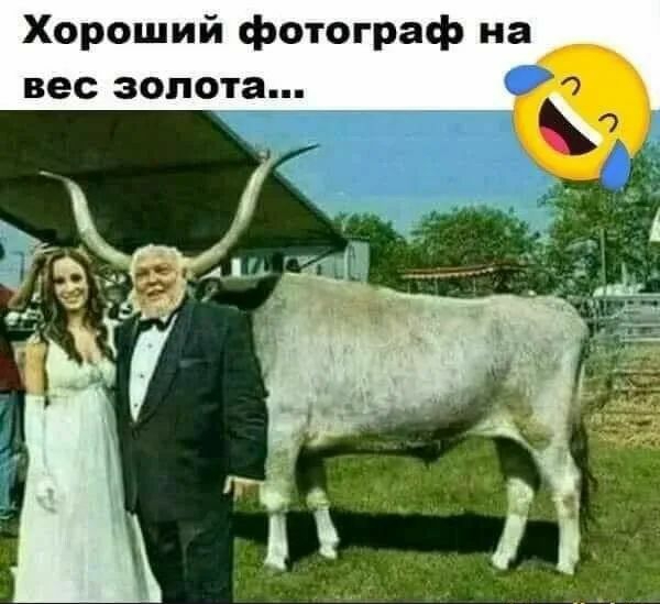 Хороший фотограф на вес золота іаяргікыгц