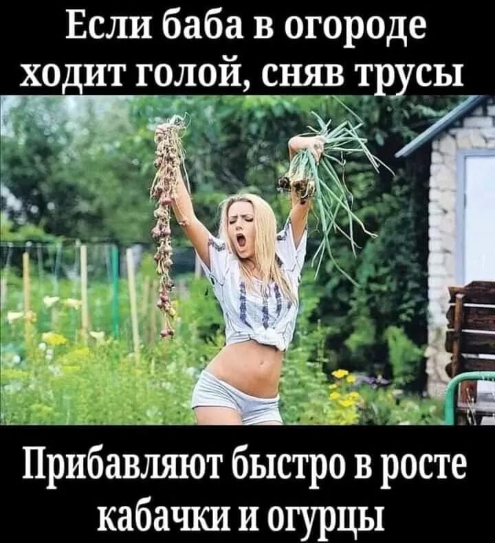 Если баба в огороде ит голой сняв трусы чит ду Прибоолоіот бьютоо в росте кабачки и огурцы