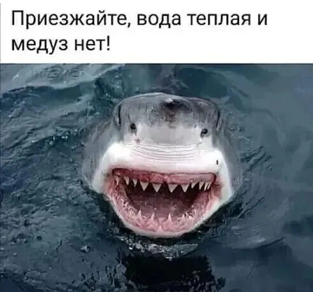 Приезжайте вода теплая и медуз нет