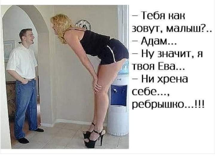 Тебя нам зовут малыш Адам Ну значит я ребрышно