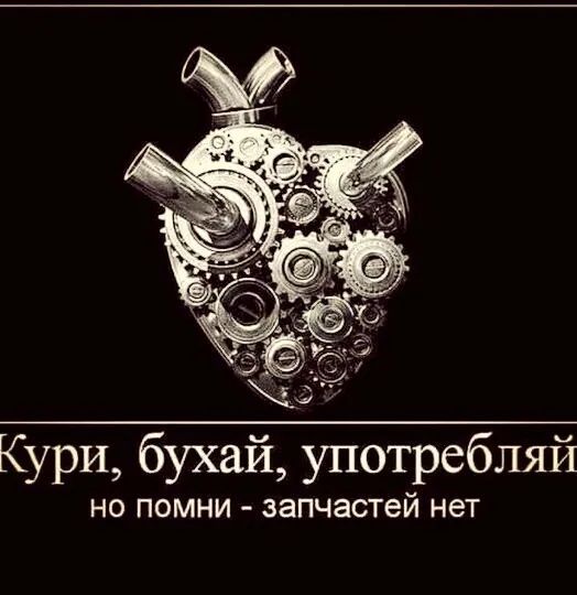 Кури бухай употребляй НО ПОМНИ ЗЗПЧаСТЕЙ НеТ