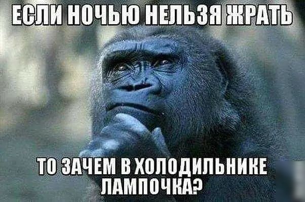 ЕтдпчьючдшьзщЁщ тпздім в хпподипьнині пдмпочидр ШШШ