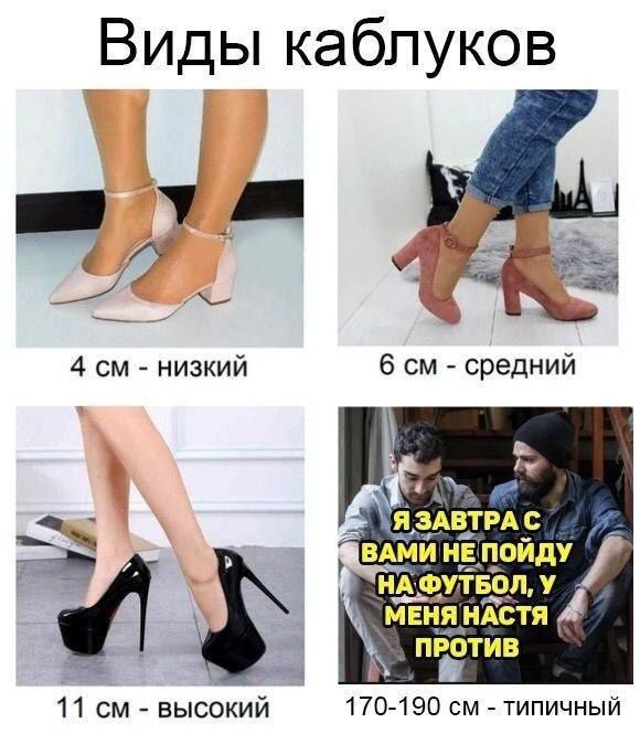 Виды каблуков Т У 4 см низкий НА ФУТБОЬУ МЕНЯ НАСТЯ ПРОТИВ 11 см высокий 170 190 см типичный