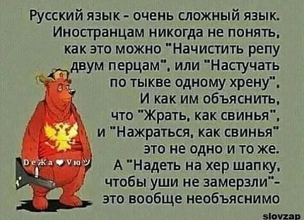 Русский язык очень сложный язык Иностранцам никогда не понять как это можно Начистить репу двум перцам или Настучать по тыкве одному хрену И как им объяснить что Жрать как свинья и Нажраться как свинья это не одно и то же А Надеть на хер шапку чтобы уши не замерзли это вообще необъяснимо маши ріжпчюг